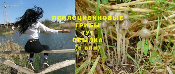 дживик Белоозёрский