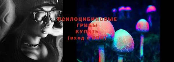 дживик Белоозёрский