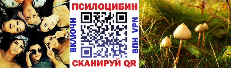 Галлюциногенные грибы MAGIC MUSHROOMS  Бокситогорск 